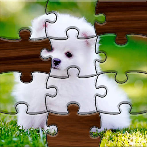 Jigsaw Puzzle Challenge