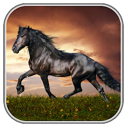 Icon image Horse Wallpapers