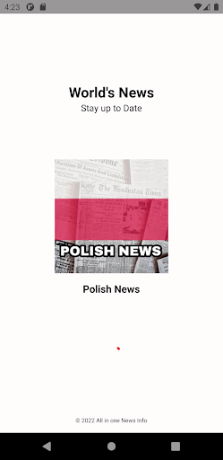 All Polish News Hub 1