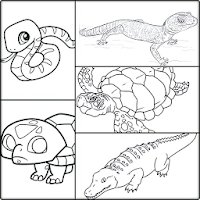 How To Draw Animal Reptiles