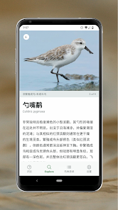 屏幕截图图片