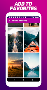 Quick Wallpaper APK for Android Download 5