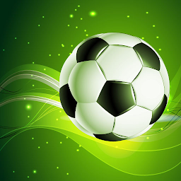 Obraz ikony: Winner Soccer Evolution