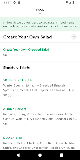 Art of Salad Screen 3