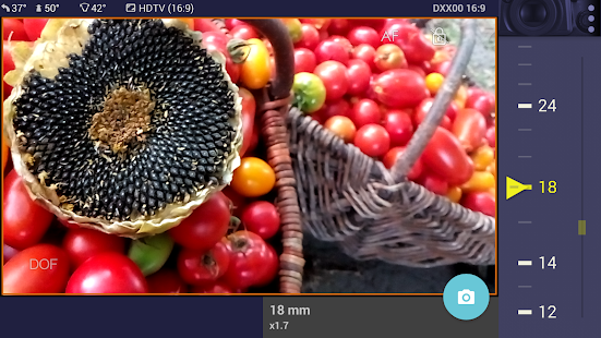 Magic Nikon ViewFinder Screenshot
