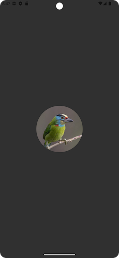 Android application Asian barbet bird Sounds screenshort
