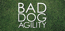 Bad Dog Agility APK