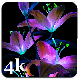 Icon image Flower Live Wallpapers