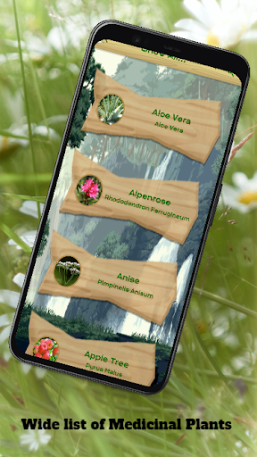 Medicinal Plants & Remedies Screen 2