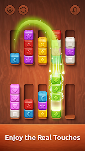 Colorwood Sort Puzzle Game 2