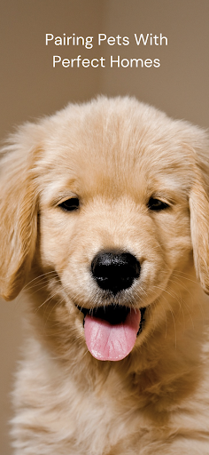 Android application Benji - Adopt & Rehome Pets screenshort