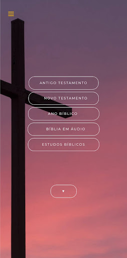 Android application A Nova Bíblia Viva e Áudio screenshort
