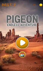 Pigeon Endless Adventure