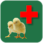 Poultry Disease Center