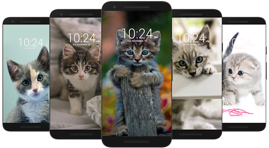 Kitten & Cute Cat Wallpaper HD  screenshots 14