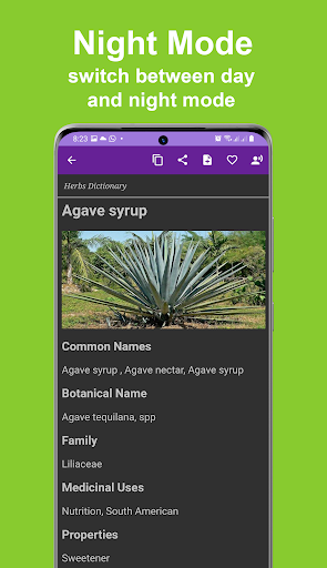 Herbs Dictionary Pro Screen 3