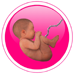 Icon image 40Weeks - Pregnancy calculator