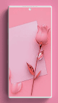 screenshot of Pink Wallpaper