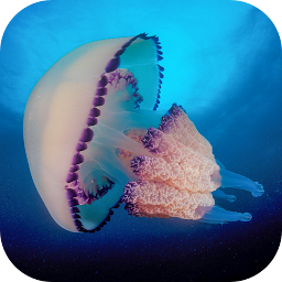 Icon image Jellyfish Live Wallpaper
