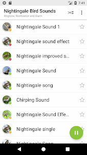 Appp.io - Nightingale Sounds