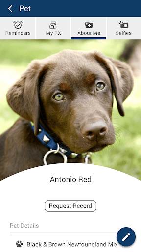 Encino Pet Hospital Screen 3