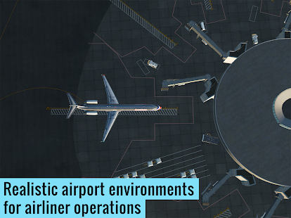 X-Plane Flight Simulator Screenshot