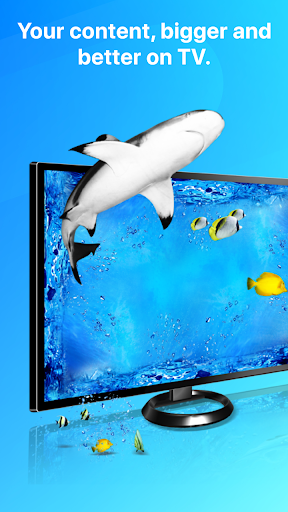 Cast To TV Screen Mirroring Screen 3