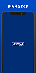 Bluestar Cricket Screenshot