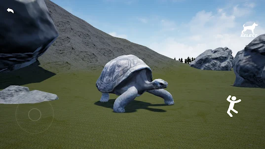 Galapagos Simulator 3D