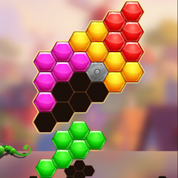 Hexa Fit 1