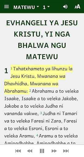 Txitxopi Bible Screen 3