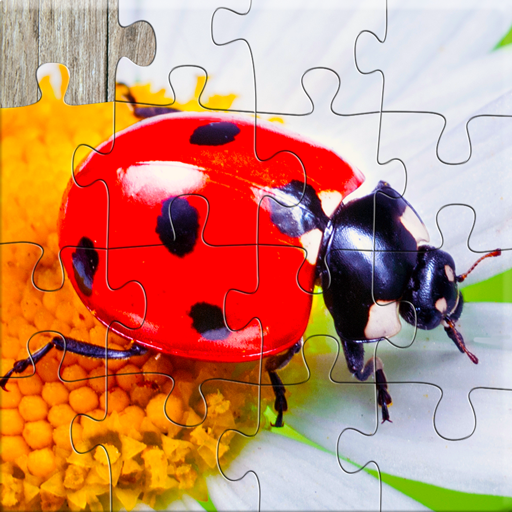 Insect Jigsaw Puzzle Game Kids 28.1 Icon