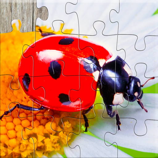 Insect Jigsaw Puzzle Game Kids  Icon