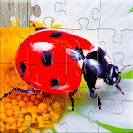 Cover Image of Télécharger Jeu de puzzle d'insectes pour enfants  APK