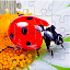 Insect Jigsaw Puzzle Game Kids