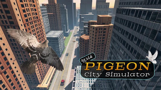 Wild Pigeon Birds Simulator 3D 1.6
