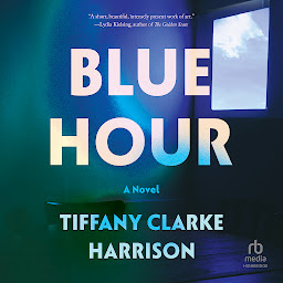 Icon image Blue Hour: A Novel