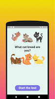 screenshot of What cat breed are you? Test