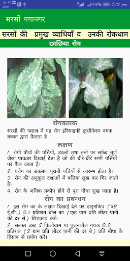 Mustard Ganganagar Screen 3