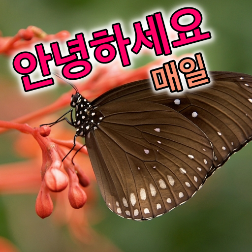 Korean Good Morning Everyday logo