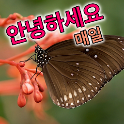 صورة رمز 좋은 아침 매일 한국어로 인사