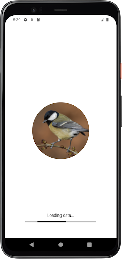 Android application Chickadee Bird Sounds screenshort