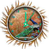 Bird Clock Live Wallpaper icon