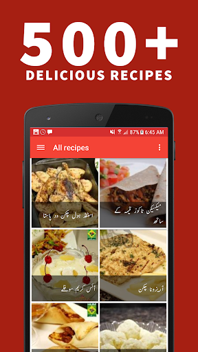Android application Recipes in Urdu (Offline) screenshort
