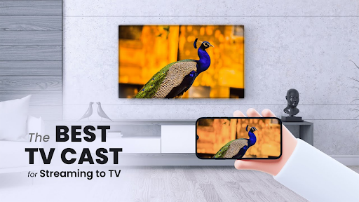 Samsung Smart View - Cast