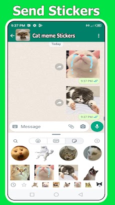 WhatsApp 用の猫ミーム ステッカーのおすすめ画像3