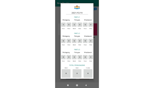 NumTouVis Screen 2