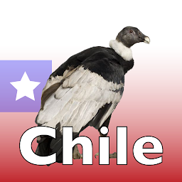 Icon image The Birds of Chile