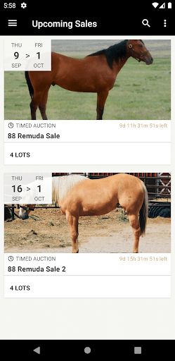 Android application 88 Remuda Sale screenshort