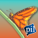 PI VR Insects Apk